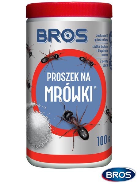 PROSZEK NA MRÓWKI